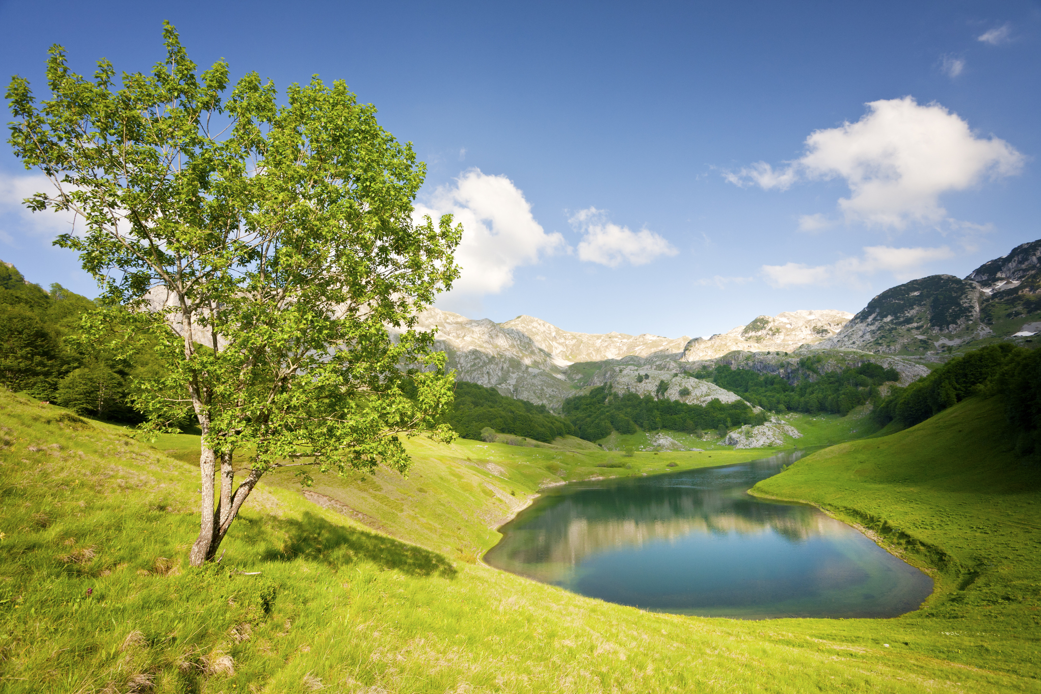 Orlovačko Lake surrounded by green meadows and rocky peaks in Bosnia and Herzegovina