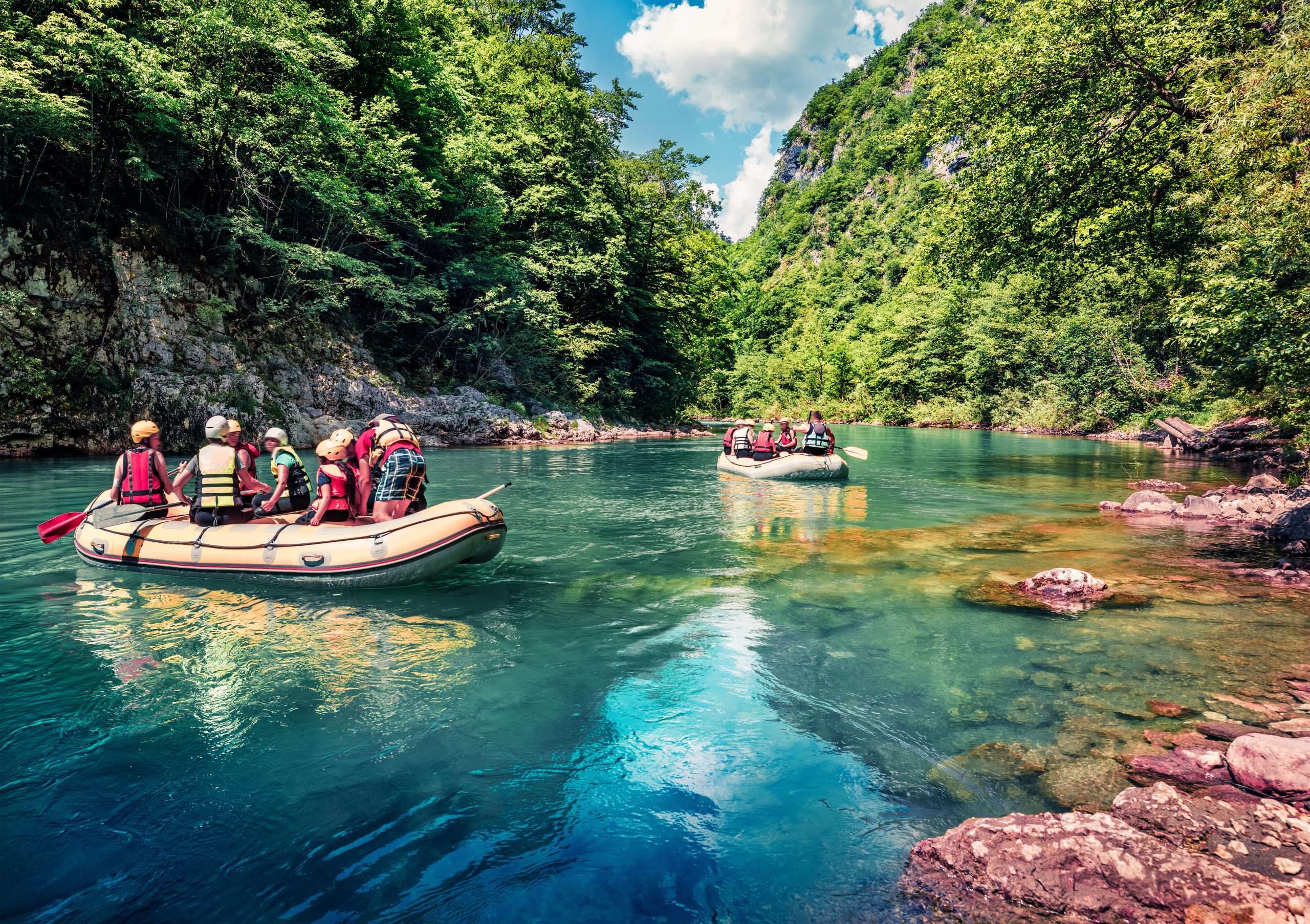 Rafters on clear turquoise water between forested walls of the Tara Canyon